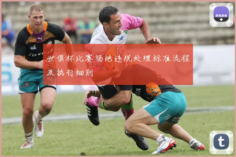 世俱杯比赛场地违规处理标准流程及执行细则