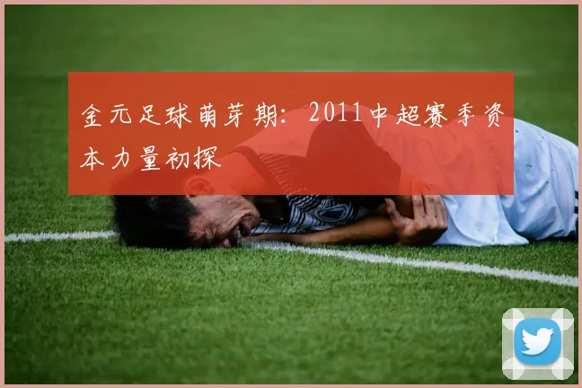 金元足球萌芽期：2011中超赛季资本力量初探