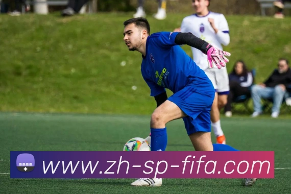 世界杯赛程平台生态图